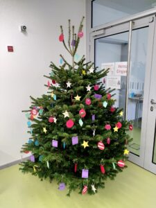 Ein zweiter Weihnachtsbaum steht für die Weihnachtsaktion, bei der die Schüler:innen Menschen, die nicht so viel haben oder allein sind, zu Weihnachten eine Freude machen möchten. (Bild: Reichhold)