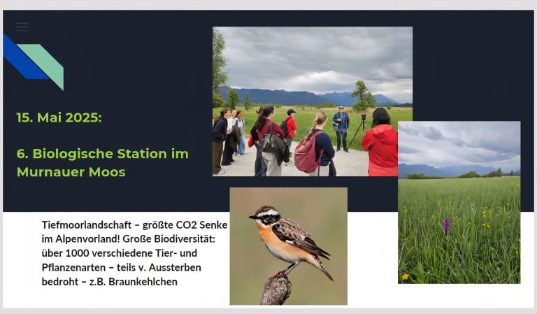Screenshot_20250606_005140_PowerPoint