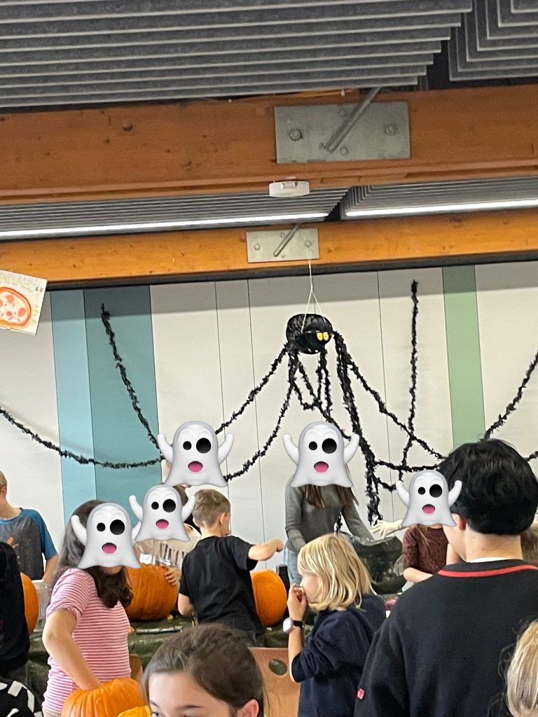 2025_Fotos Pumpkins 2