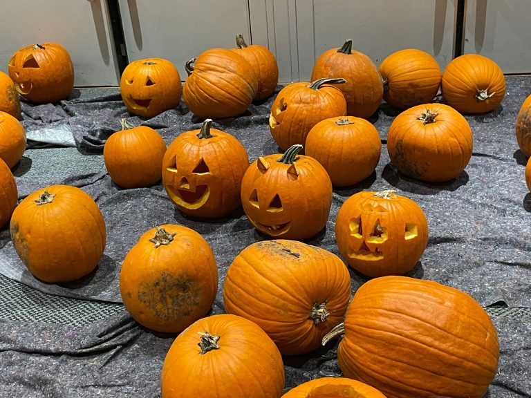 2025_Fotos Pumpkins 3