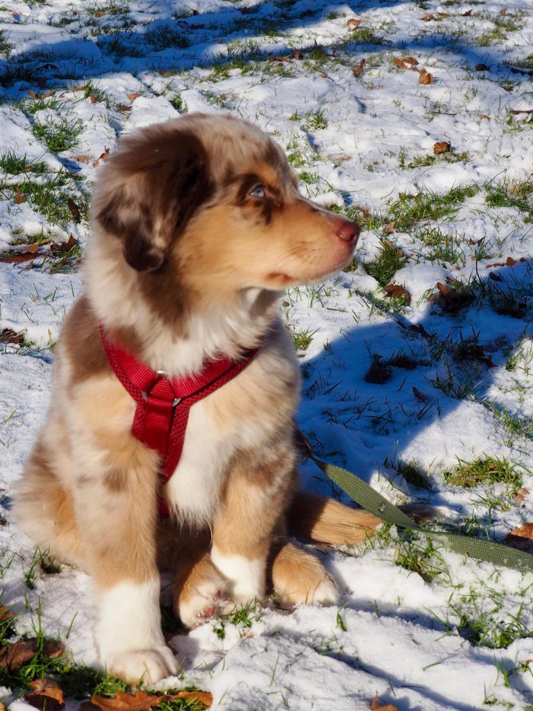 18A33A4F-CAD4-4EB0-8D97-A8CD5E02067A