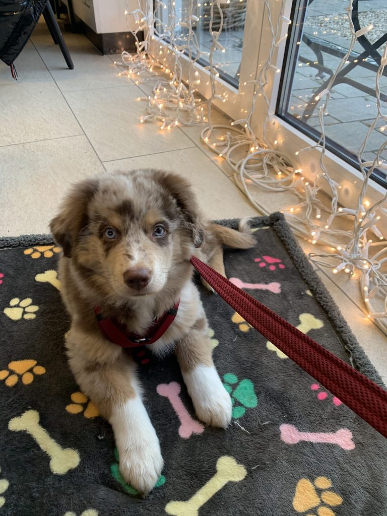 1ABFB3B3-C154-4B7A-9117-50985ECED26D