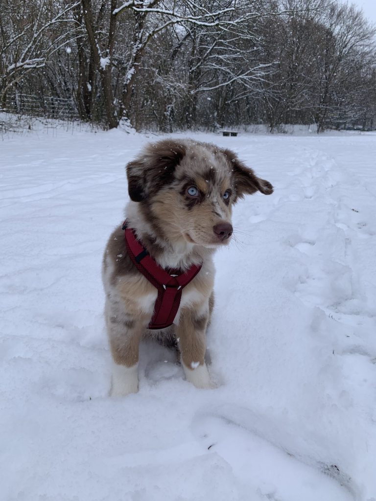 2908E1C0-FF48-467C-9707-3C0D81D74C46