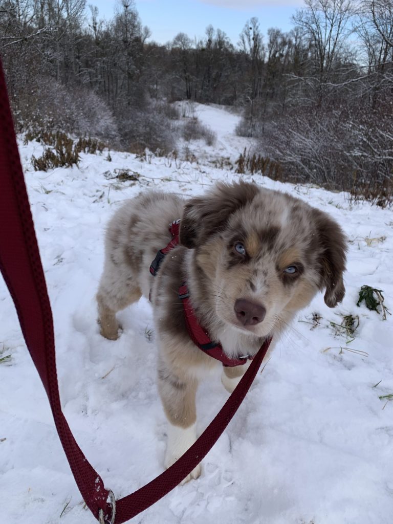 B409E580-2633-4CF1-9116-924263DDB063